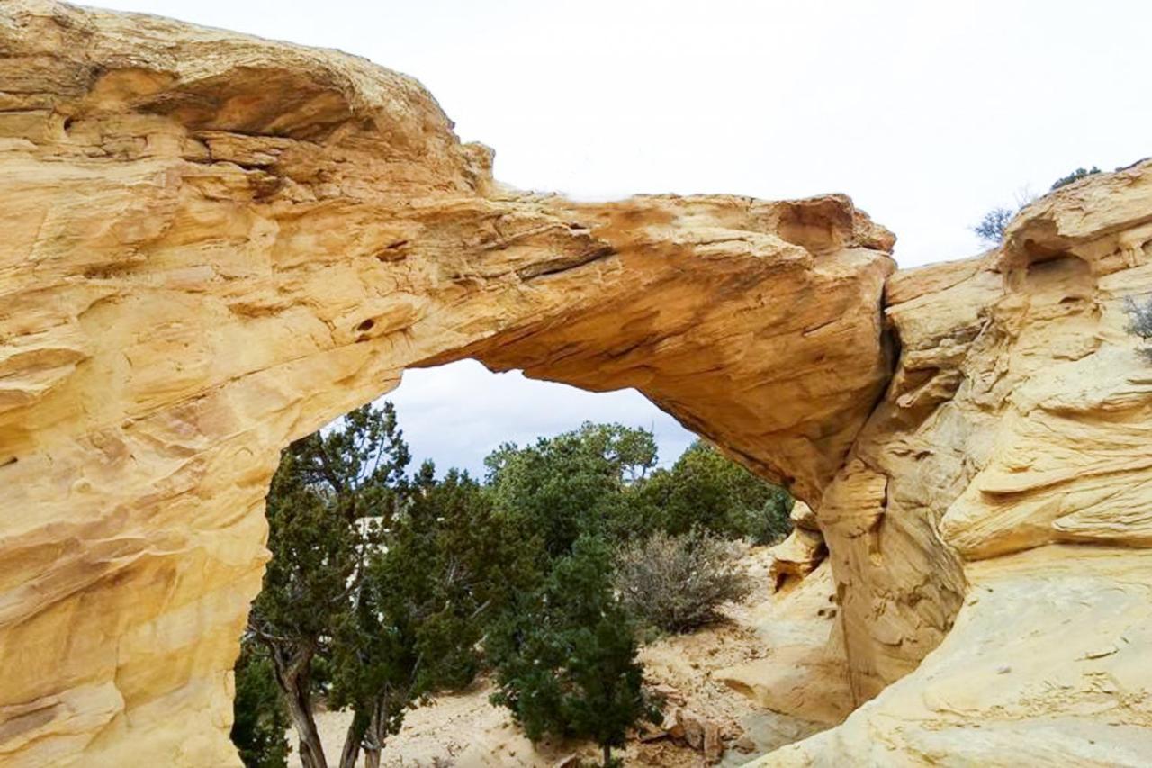 Apartamento Red Cliff 5B Moab Exterior foto